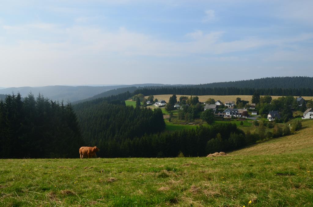 Berggasthof Zur Glocke Winterberg Ngoại thất bức ảnh